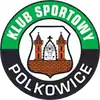包尔科维切