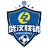 武汉联镇