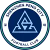 深圳新鹏城翠园初中U15