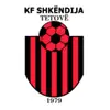 斯肯迪加U19