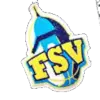 FSV女篮