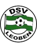 DSV莱奥本